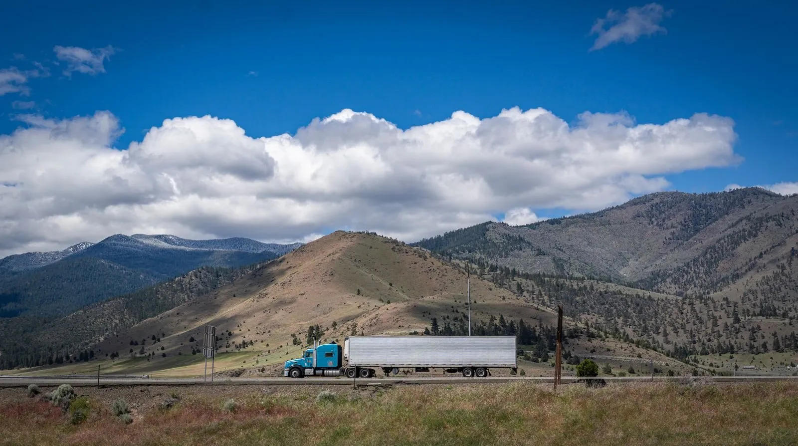 Cargo Movements